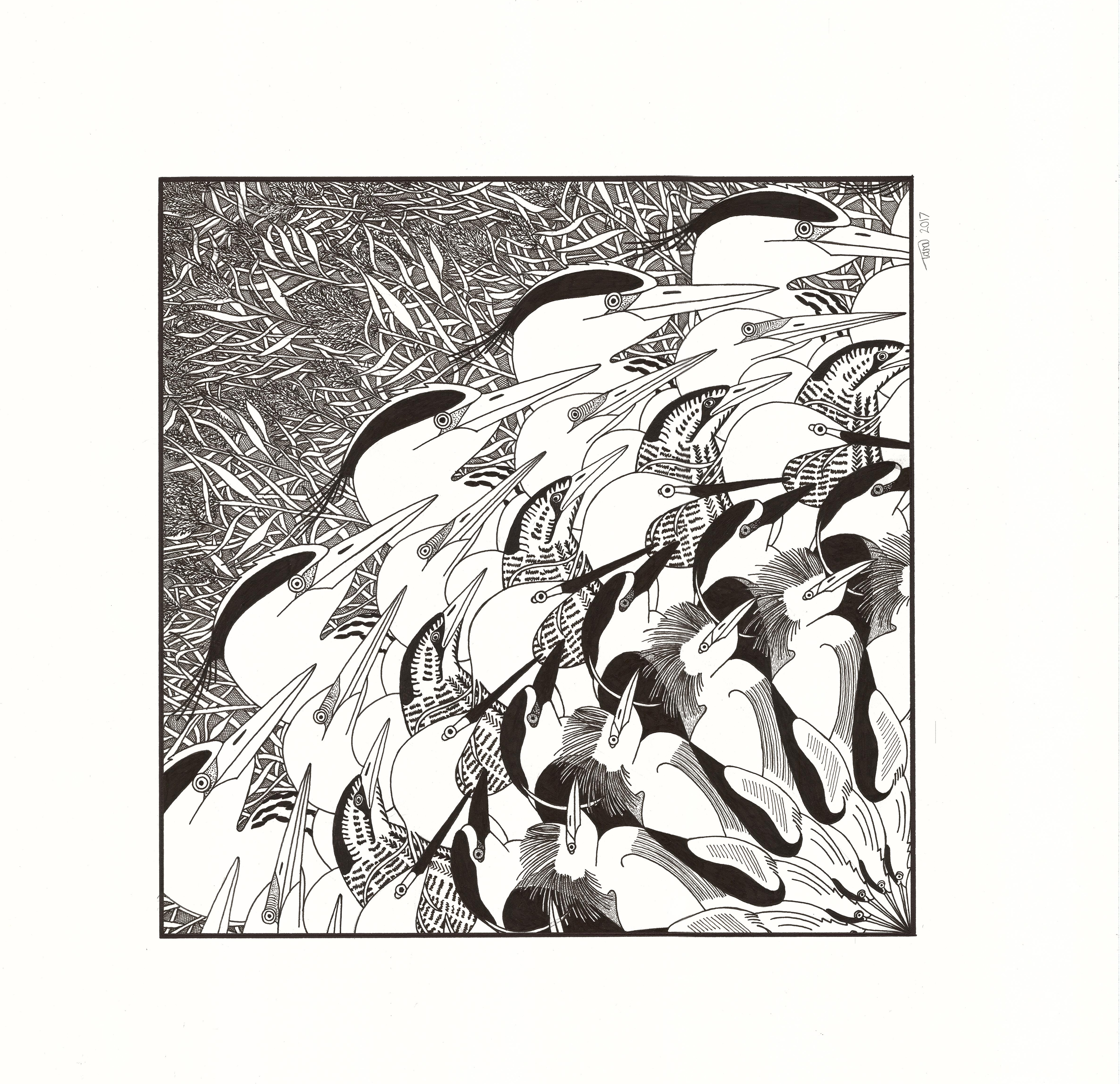 Wetland wonders:wheel of fortune